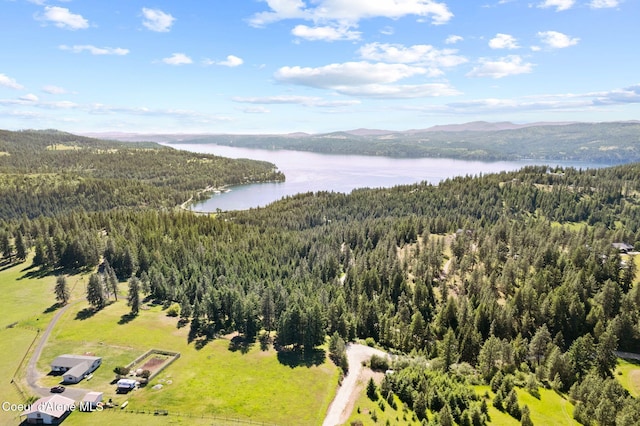 2252 E Badger Rd, Harrison, ID 83833