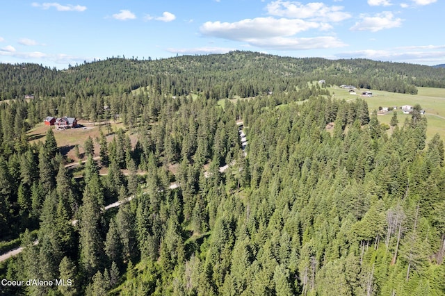 2252 E Badger Rd, Harrison, ID 83833