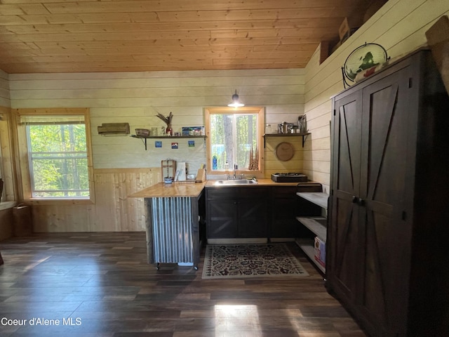 1942 Two Tail Rd, Bonners Ferry, ID 83805 - bathroom with wood walls, plenty of natural light, wood finished floors, wood ceiling, and lofted ceiling