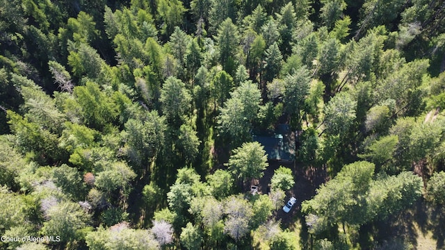 1942 Two Tail Rd, Bonners Ferry, ID 83805 - bird's eye view of a heavily wooded area