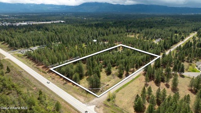 aerial view with a view of trees and a mountain view