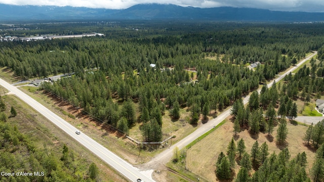 drone / aerial view featuring a mountain view and a wooded view