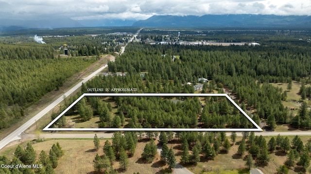 bird's eye view featuring a mountain view and a forest view