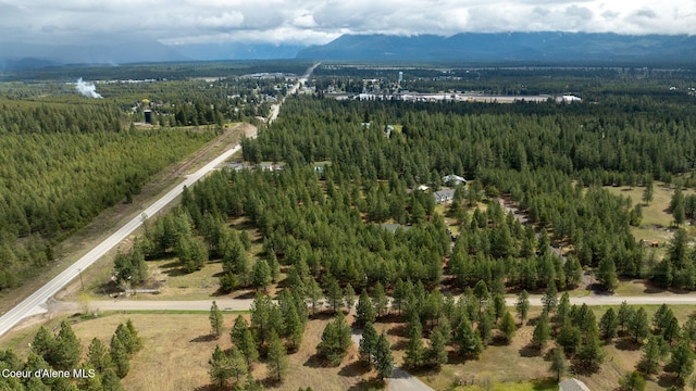 drone / aerial view featuring a wooded view and a mountain view