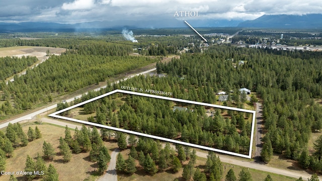 bird's eye view featuring a mountain view and a view of trees
