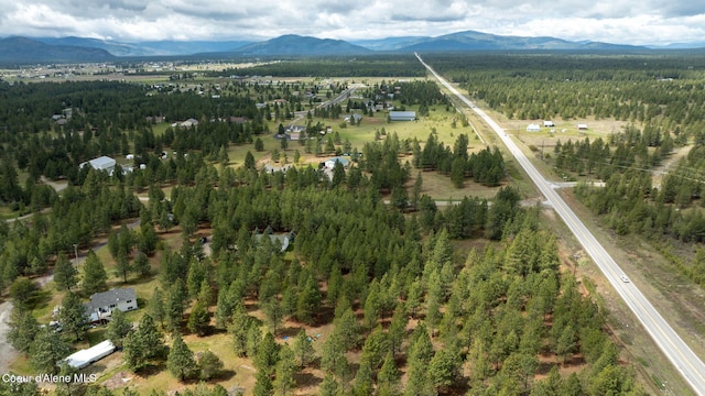 drone / aerial view with a mountain view