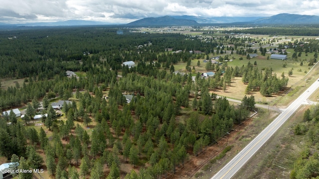 aerial view with a forest view and a mountain view