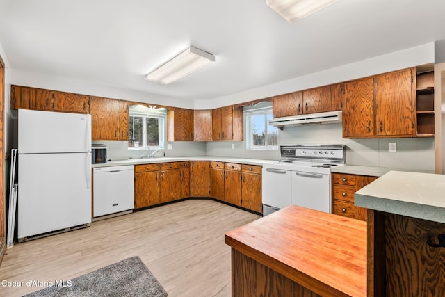 kitchen with under cabinet range hood, a healthy amount of sunlight, white appliances, and brown cabinetry