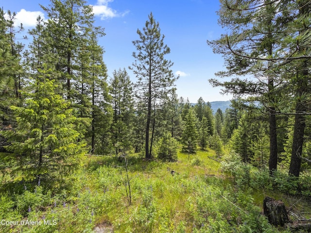 685 Blanchard-Elk Rd, Blanchard, ID 83804 - photo 1