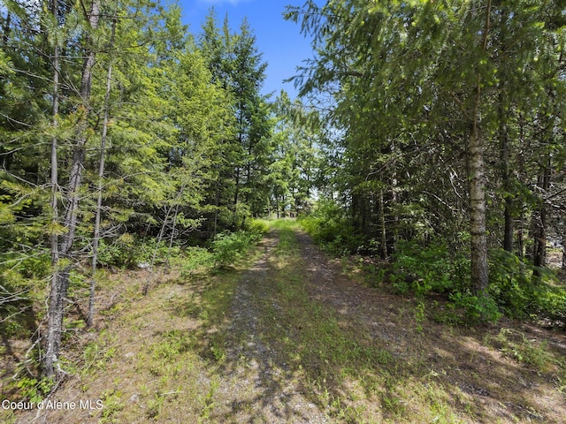 685 Blanchard-Elk Rd, Blanchard, ID 83804 - photo 5