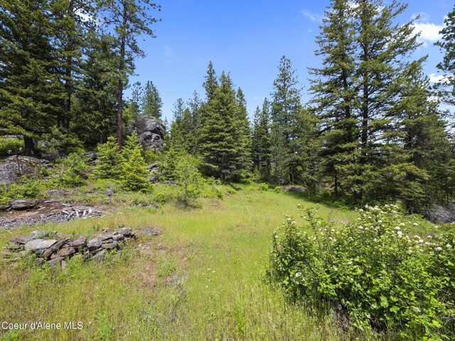 685 Blanchard-Elk Rd, Blanchard, ID 83804 - photo 2
