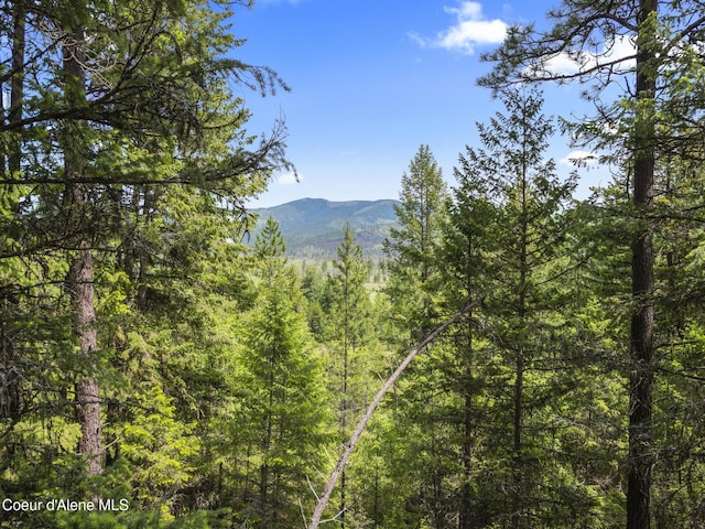 685 Blanchard-Elk Rd, Blanchard, ID 83804 - photo 4