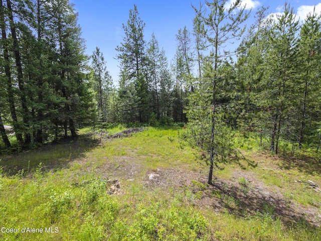 685 Blanchard-Elk Rd, Blanchard, ID 83804 - photo 3