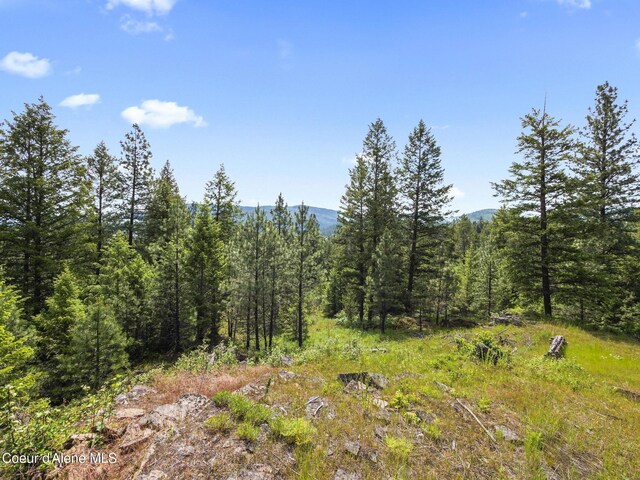 685 Blanchard-Elk Rd, Blanchard, ID 83804 - photo 10