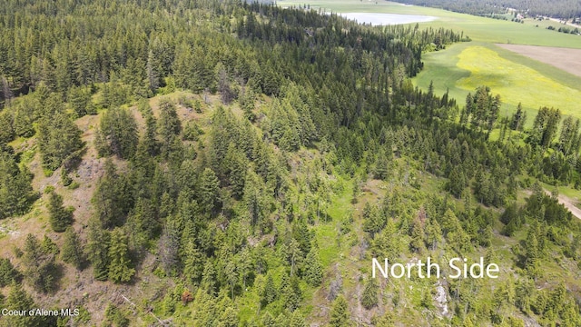 685 Blanchard-Elk Rd, Blanchard, ID 83804 - photo 11