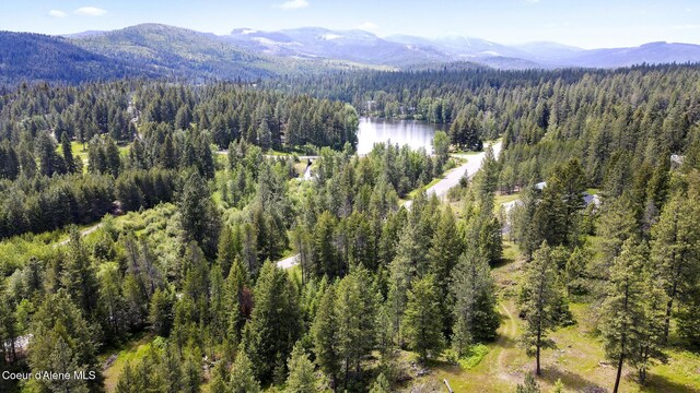 685 Blanchard-Elk Rd, Blanchard, ID 83804 - photo 12