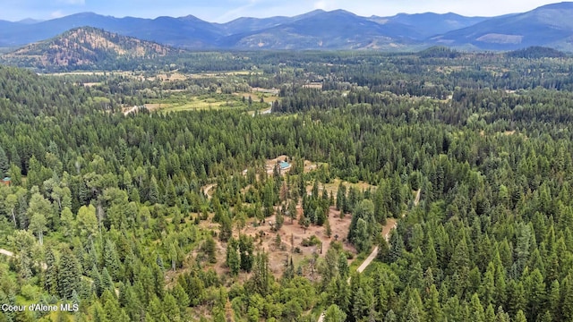 NKA Tanglewood Dr, Priest River, ID 83856