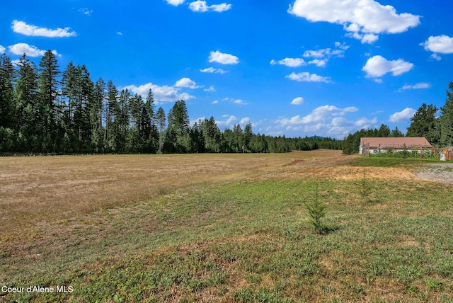view of local wilderness with a forest view