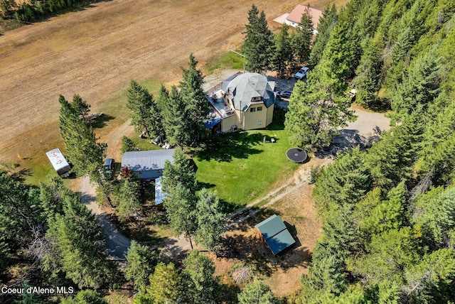 drone / aerial view