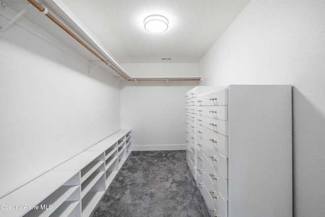 1006 E Garden Ave, Coeur Dalene, ID 83814 - spacious closet with visible vents and dark carpet