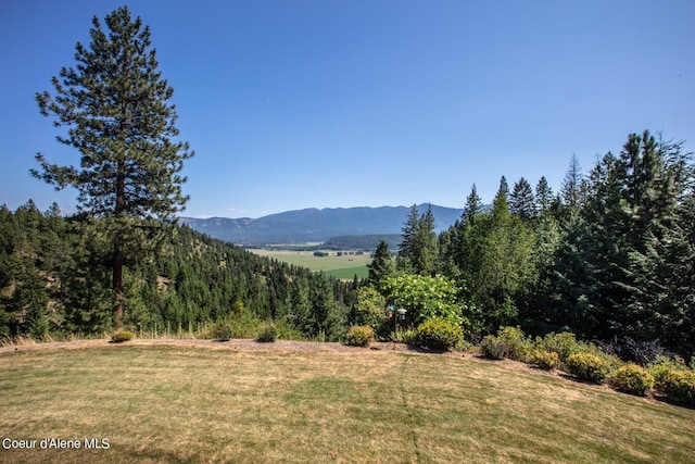 view of mountain feature featuring a forest view