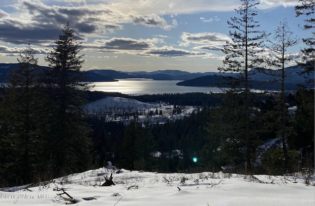 property view of mountains with a water view