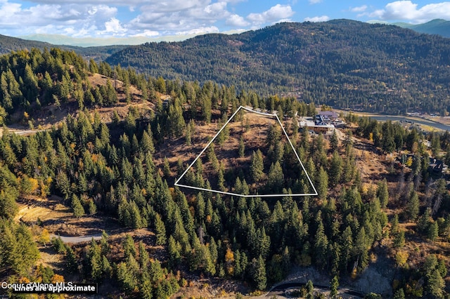 bird's eye view featuring a mountain view and a wooded view