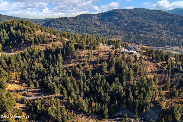 property view of mountains with a forest view