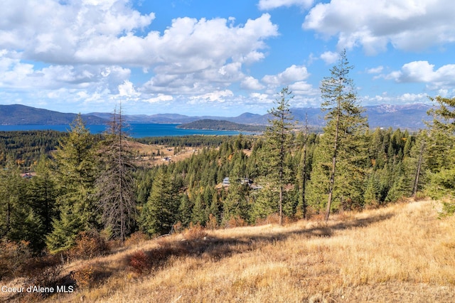 property view of mountains featuring a wooded view