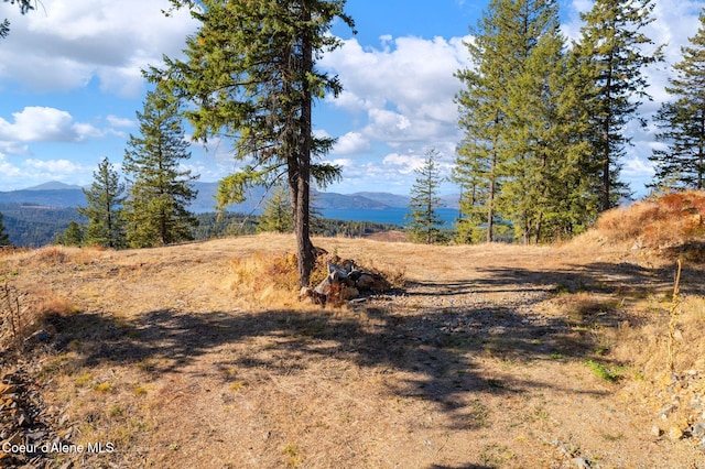 view of nature with a mountain view
