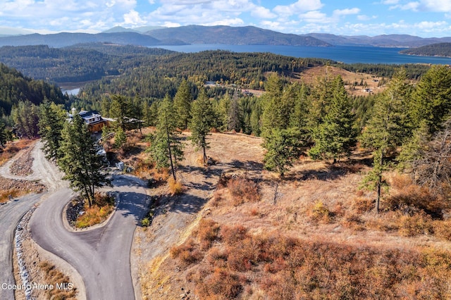aerial view with a mountain view and a wooded view