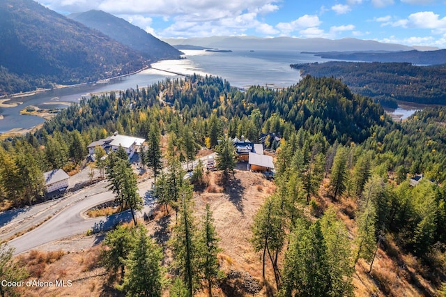 birds eye view of property with a forest view and a water and mountain view