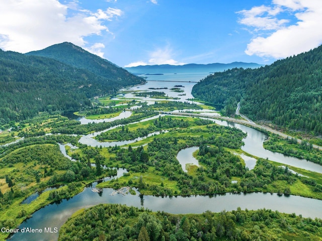 birds eye view of property with a wooded view and a water and mountain view