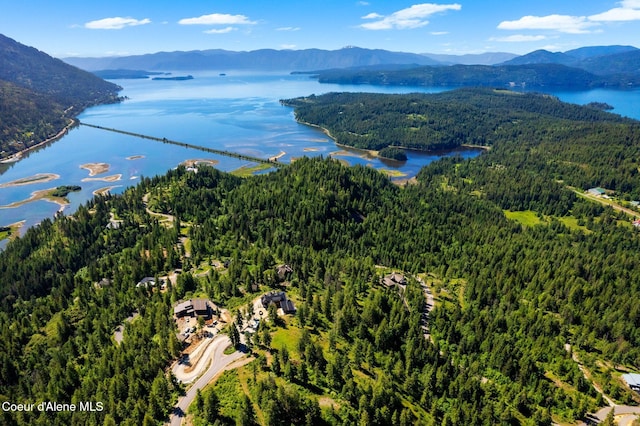 TBBT2 Green Monarch Ln, Sandpoint, ID 83864 - drone / aerial view of a heavily wooded area and a water and mountain view