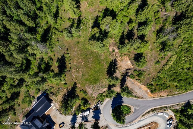 TBBT2 Green Monarch Ln, Sandpoint, ID 83864 - aerial view