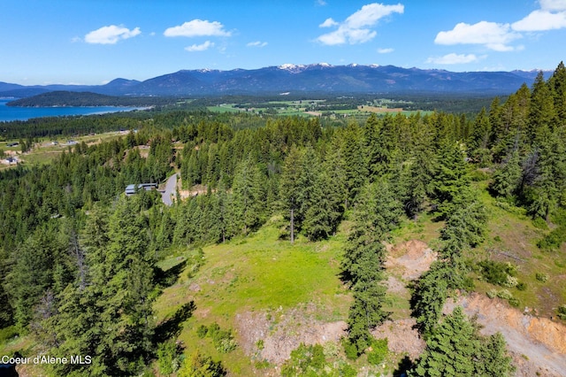TBBT2 Green Monarch Ln, Sandpoint, ID 83864 - bird's eye view of a forest and a water and mountain view