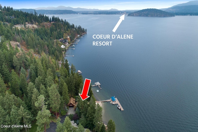 190 W Eagle Crest Dr, Coeur Dalene, ID 83814 - birds eye view of property with a water and mountain view