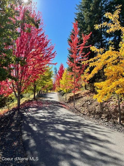 190 W Eagle Crest Dr, Coeur Dalene, ID 83814 - view of street