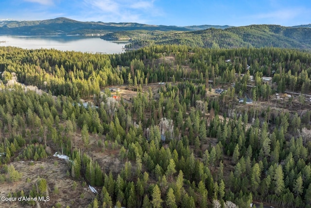 3791 W Upriver Dr, Coeur Dalene, ID 83814 - photo 61