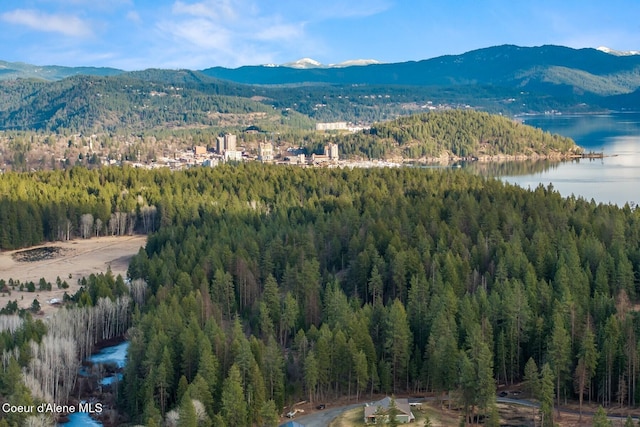 3791 W Upriver Dr, Coeur Dalene, ID 83814 - photo 62
