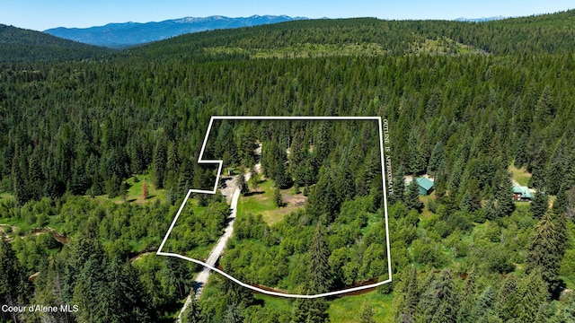 255 Thunder Aly, Sandpoint, ID 83864 - photo 16