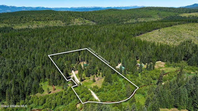 255 Thunder Aly, Sandpoint, ID 83864 - photo 18