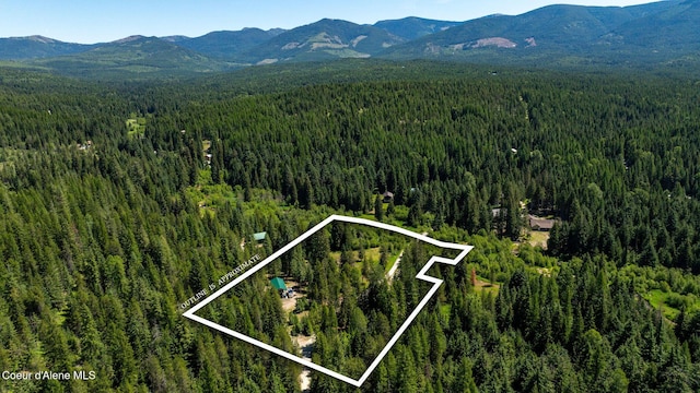 255 Thunder Aly, Sandpoint, ID 83864 - photo 20