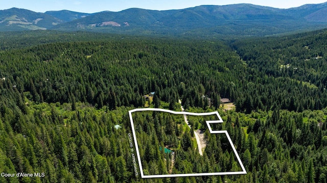 255 Thunder Aly, Sandpoint, ID 83864 - photo 21