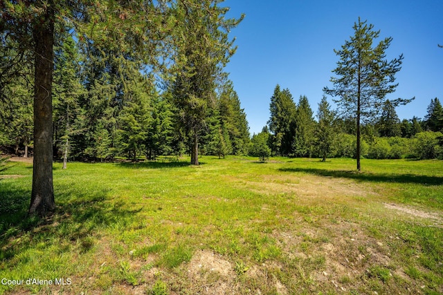 255 Thunder Aly, Sandpoint, ID 83864 - photo 9