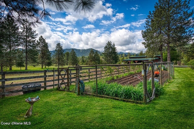 415 Shale Rd, Priest River, ID 83856 - view of yard featuring a garden and a mountain view