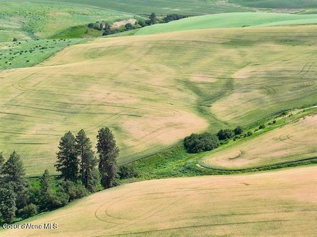 000 Central Ridge Rd, Craigmont, ID 83523