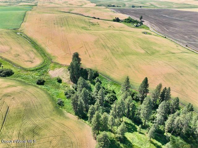 000 Central Ridge Rd, Craigmont, ID 83523