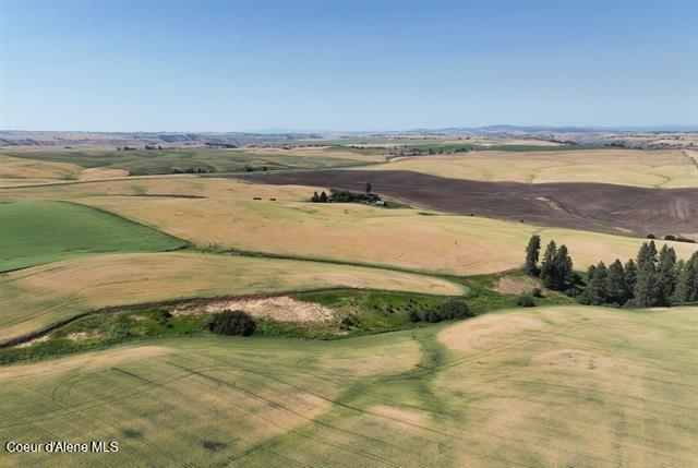 000 Central Ridge Rd, Craigmont, ID 83523
