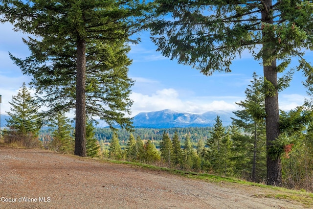 mountain view featuring a wooded view